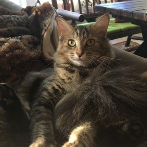 Meet your Posher, Christina